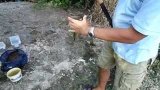 чуткость фидера ( даже такую мелоч  фидер показывает очень хорошо поклёвку )
