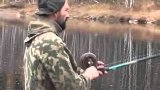 Крупная щука на спиннинг. Щучий жор в первые заморозки