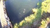 Ловля форели Запорожье.Trout Fishing Zaporozhye