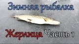 Весёлая Зимняя Рыбалка - Жерлицы. Часть 1