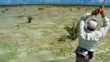 Прогулки с Тоддом Моеном - Нахлыст на Багамах