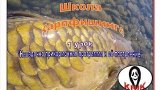 Уроки Карпфишинга  "Насадочно прикормочная программа и её построение"