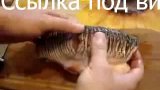 Как приготовить нашинковать очень костлявую рыбу красноперку губан, карась, окунь