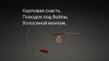 Карповая снасть. Поводок под бойлы. Волосяной монтаж.