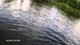 Щучка и её фирменные свечи