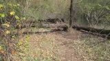 Прогулка по острову и немного рыбалки