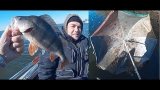 Рыбалка Окунь "рыба под зонтиком"