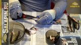 Быстрая чистка мелкого окуня на уху и икру
