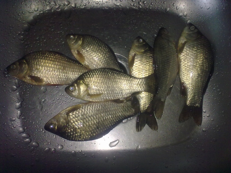 Кривой Рог, Мудренная