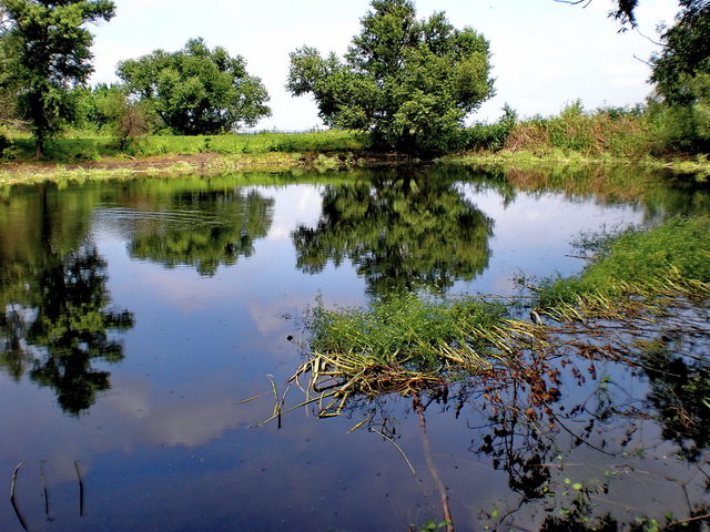 Такие водоёмчики всегда привлекают спинингиста.