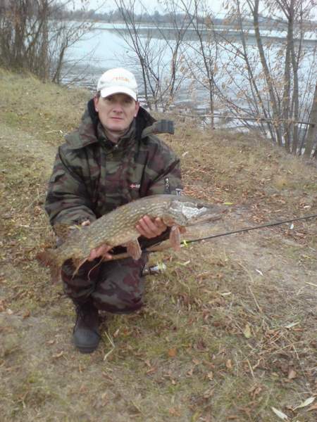 Закрытие сезона 2011г.(щука-4.9 кг).Спининг ST.CROIX Legend Elite Salmon LES86MF2,1/4-3/4...
