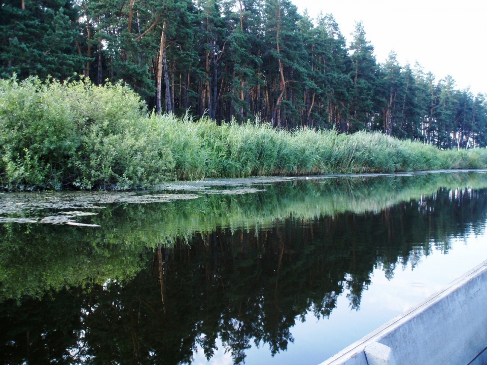 Черкасская обл.