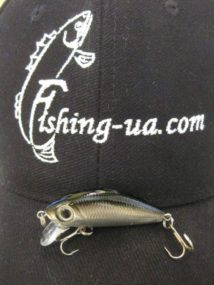 YO-ZURI L-Minnow F199 (BL)