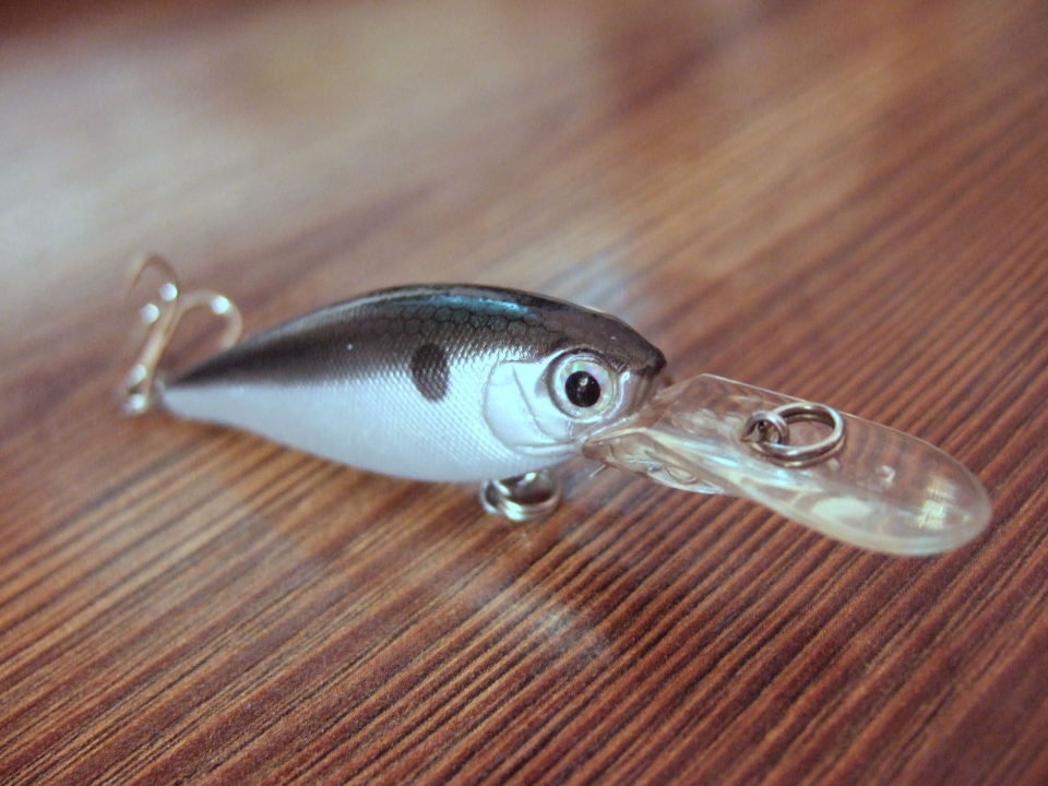 Arms Shad micro