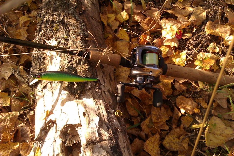 G.Loomis MBR783-2C GLX + Shimano Scorpion DC7.<br />
Мой зрелый выбор после долгих 4-х лет...