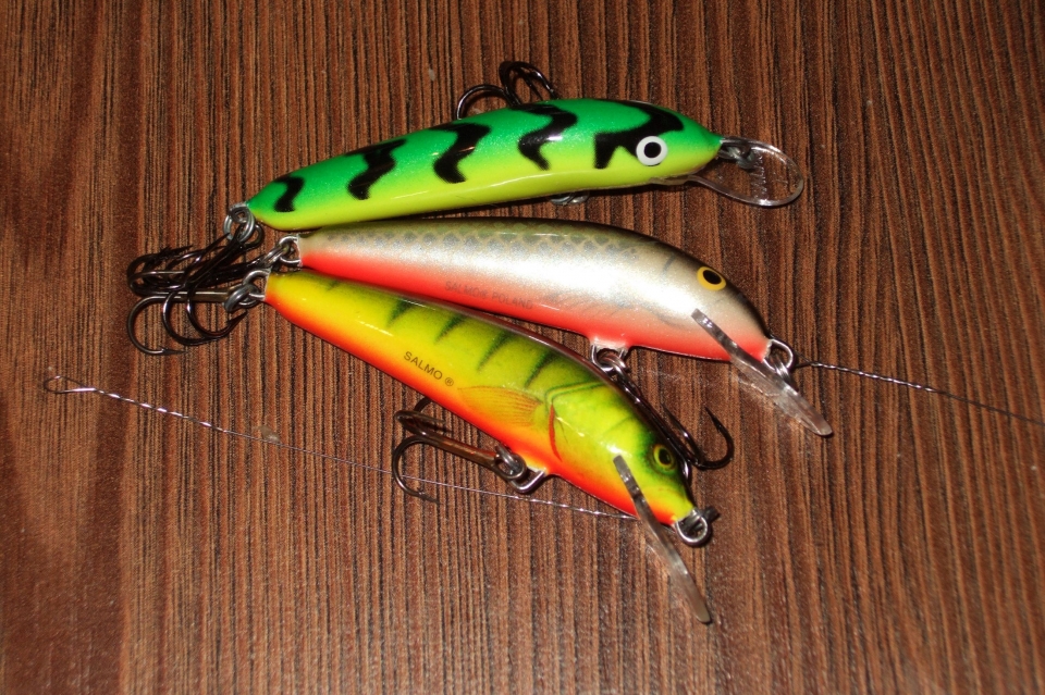 Salmo minnow5