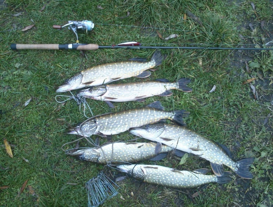 &quot;Повелитель мелководий&quot;- Daiwa MORETHAN X-CROSS 95 SSR.Убойнеший воблер для отмелей с...