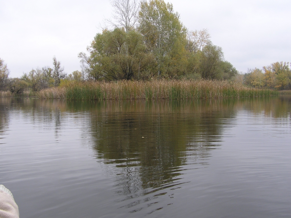 р. Орель