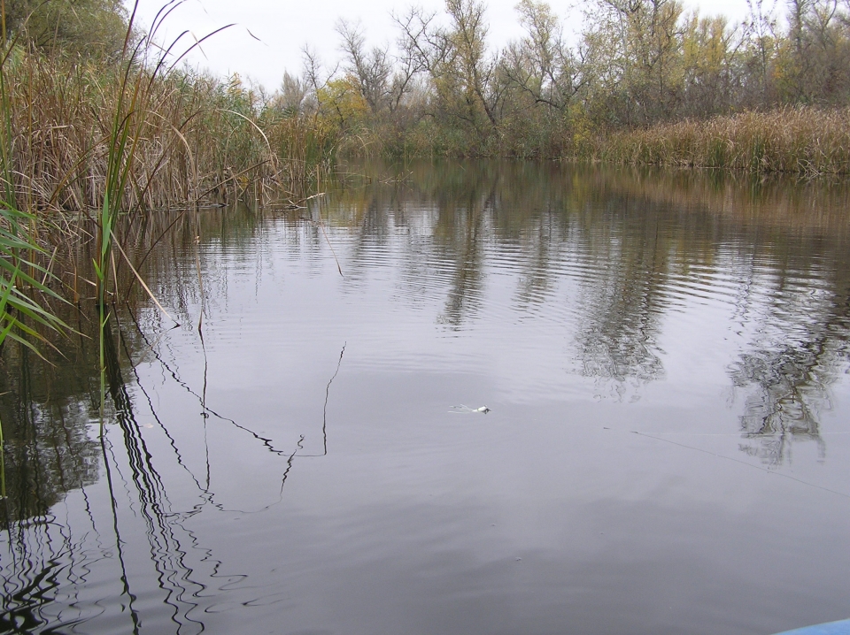 р. Орель