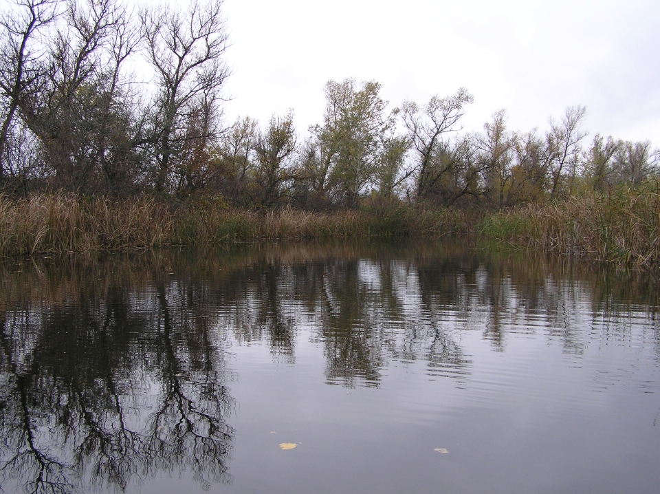 Орель  с.Плавещина