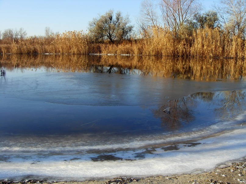 Орель_ноябрь2011
