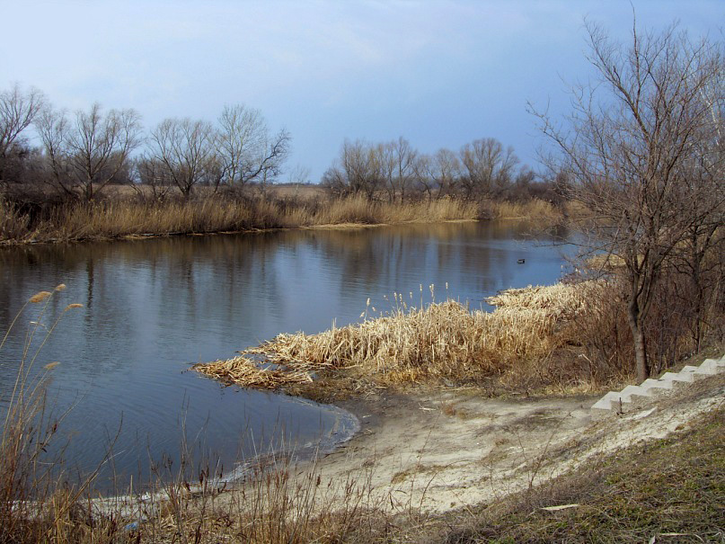 Орель_март2011<br />
Партизанское