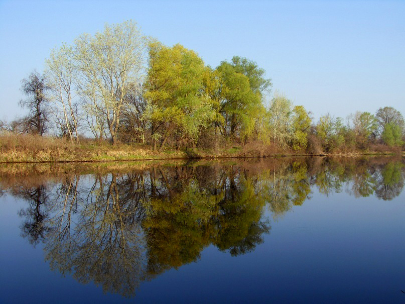 Орель_май 2011