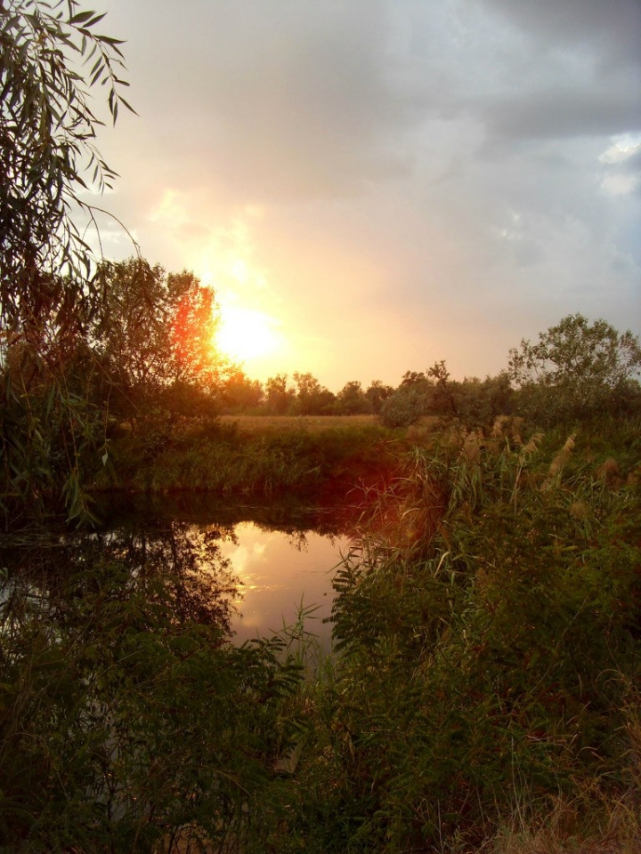 Орель_август2012