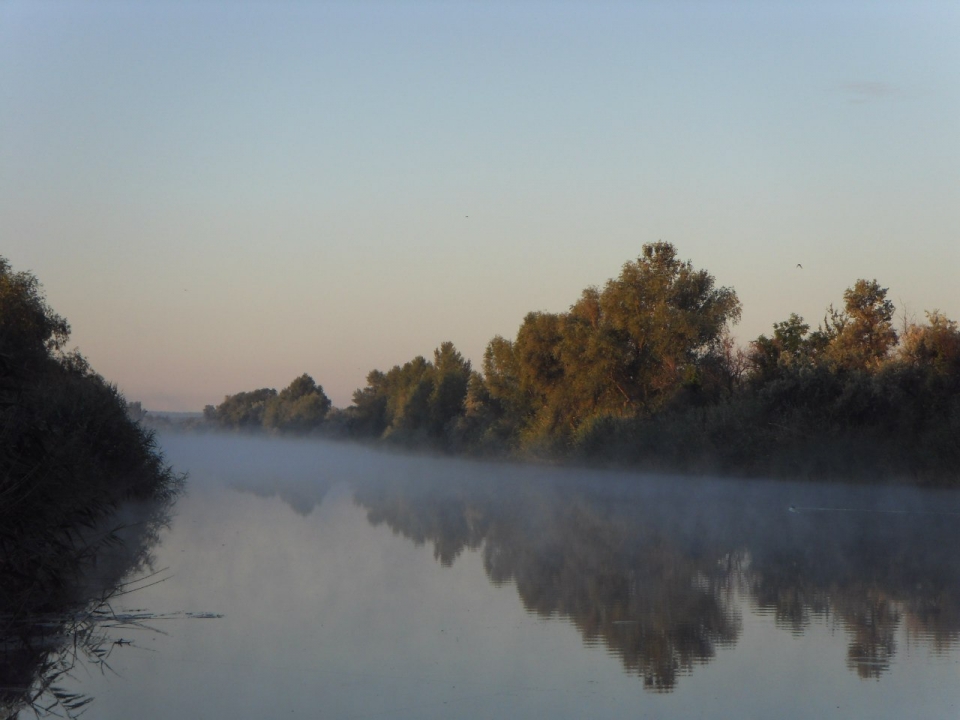 Орель_июль2012