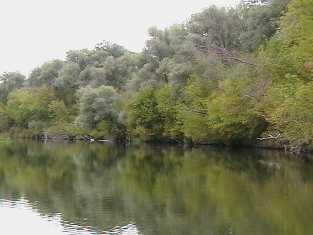 р.Ворскла