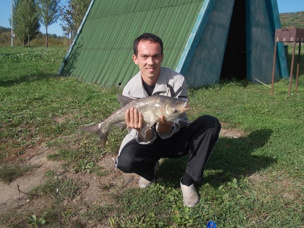Толстый 2,7кг