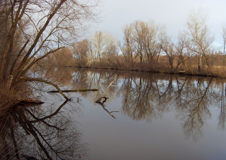 Орель_01.12.12<br />
Кировское