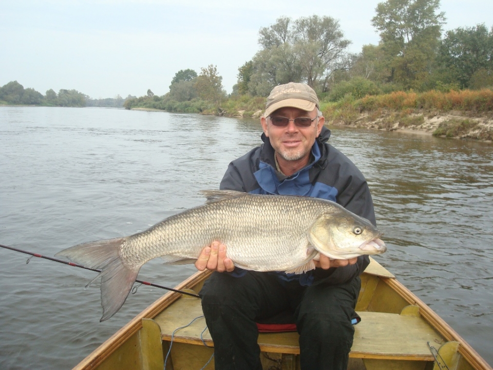 Осень 2012, днепр,жерех на 5680
