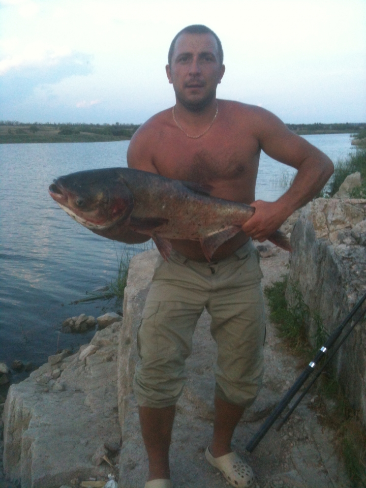 Берда запорожская обл2012.