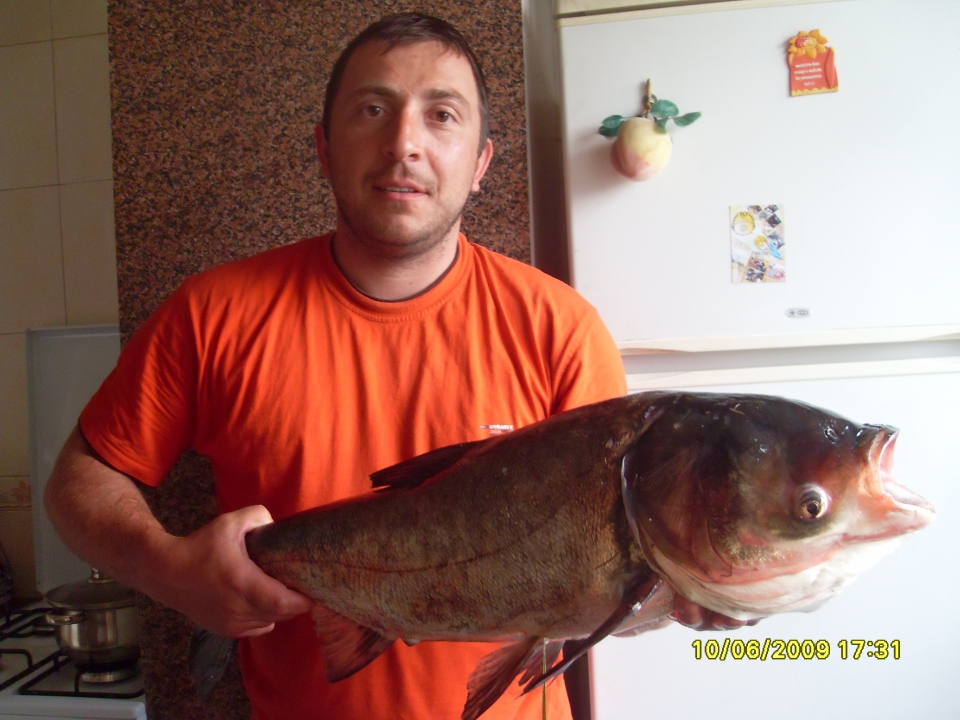 Один но ка приятно2011