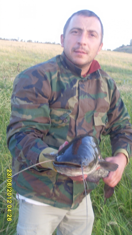 Ловля сомов--2012.