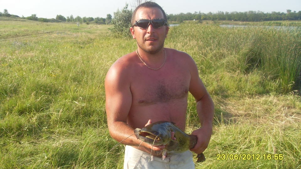 Ловля сомов. 2012