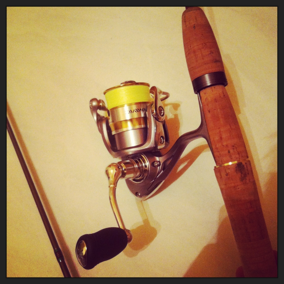 Daiwa Revros MX 2004<br />
шнур Pontoon 21 Exteer<br />
Graphiteleader Bellezza Glabs 602xul