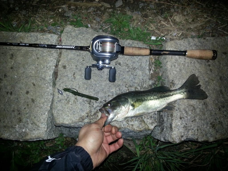 Shimano Metanium Mg ,  fluoro - garbon 14Lb