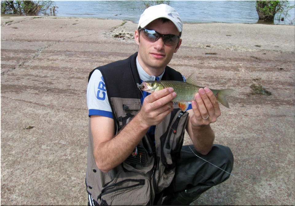 Zip Baits Rigge 35F,головли,окушки