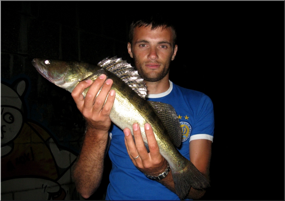 Daiwa Td Double Clutch(когда судак лучше берет со дна)