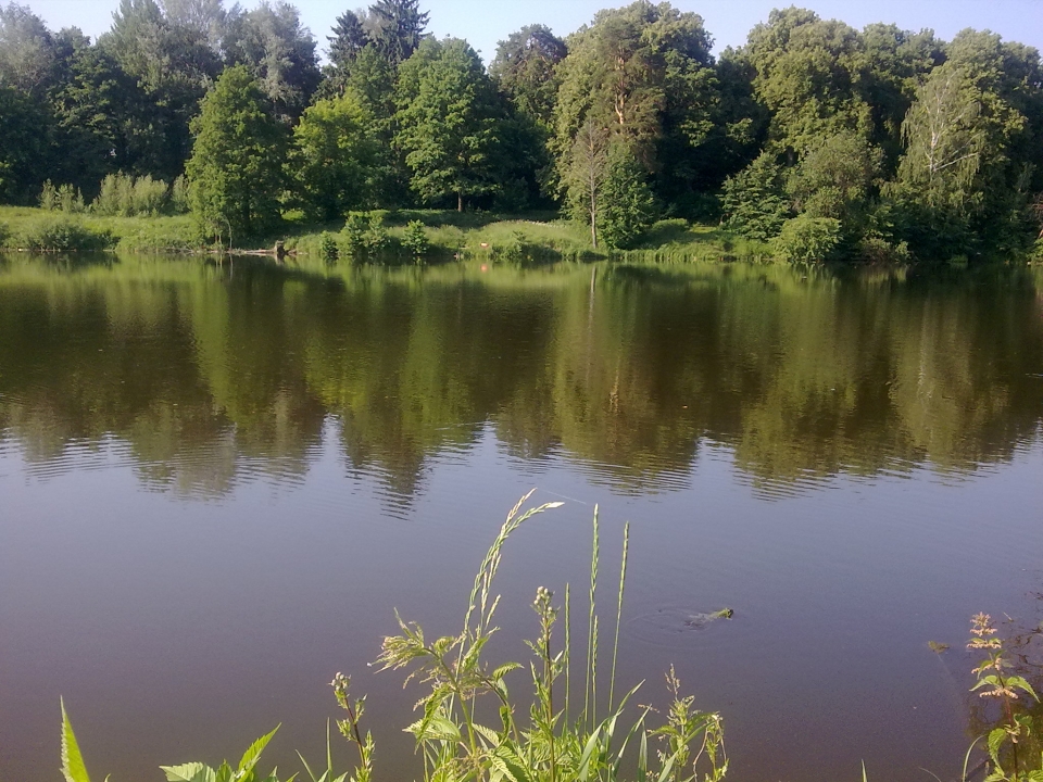 08-09.06.2013г., Киевская обл. населённый пункт Немешаево, озера Мироцкое