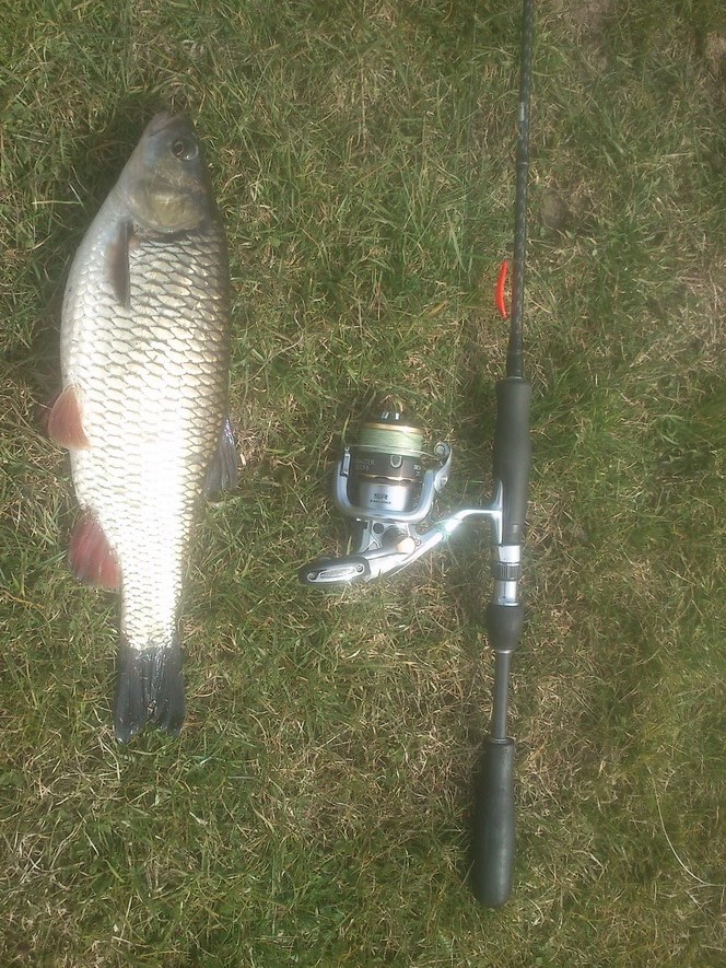 Голавль 1.2 кг,На миниколебалку SV Vishing Lures(Panika).