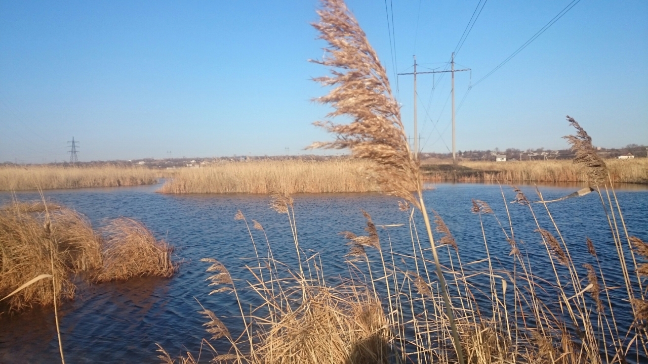 Самара