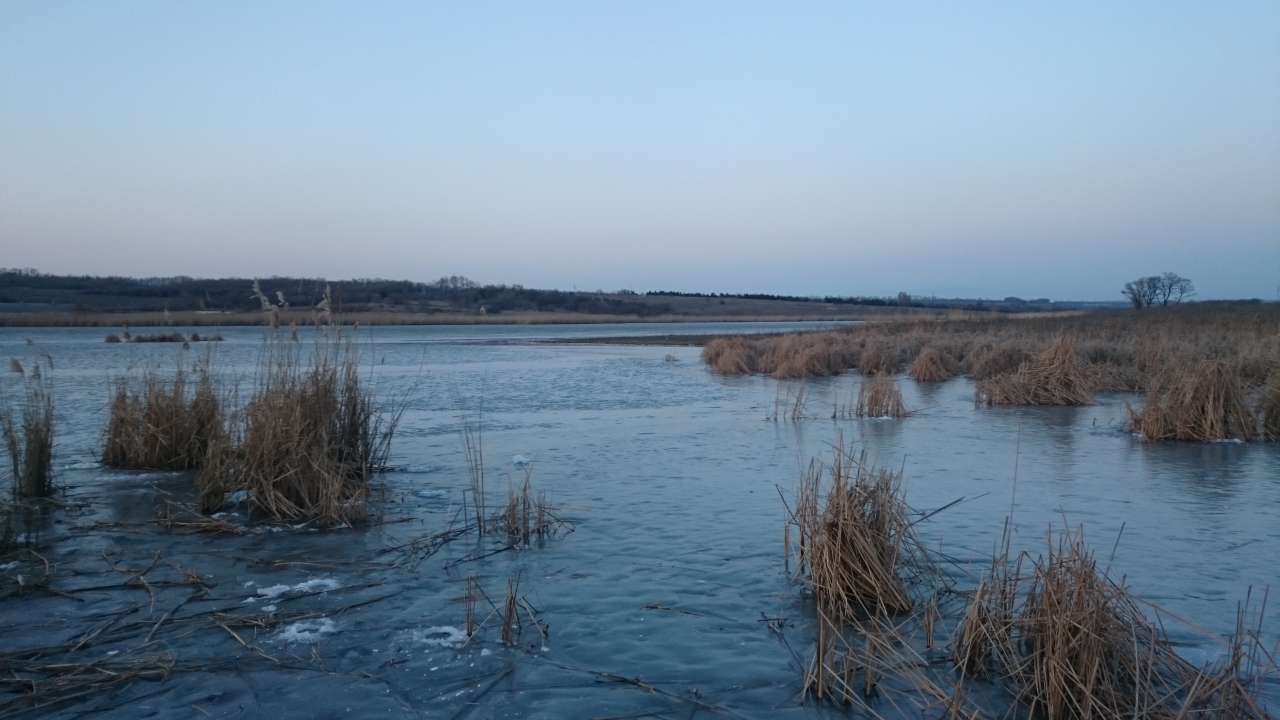 Тимофеевка 20.02.2016