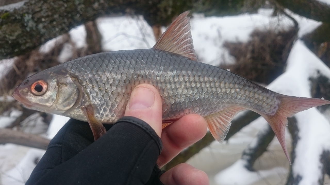 05.02.2017 р. Самара