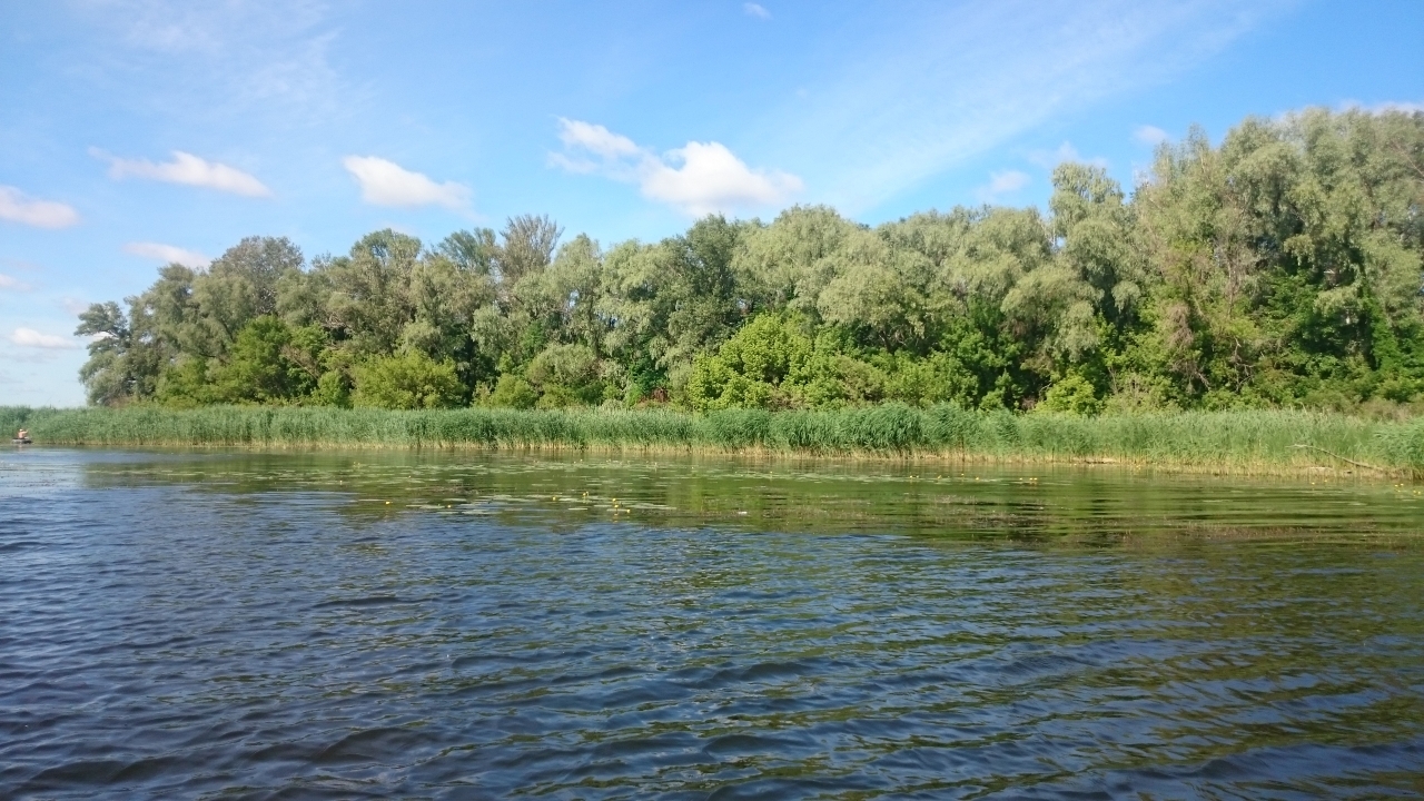 10.06.2016 р.Самара