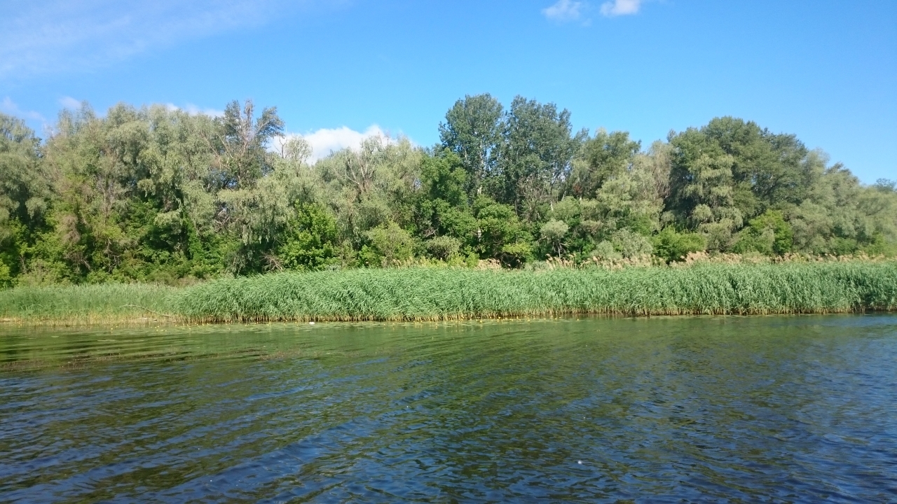 10.06.2016 р.Самара