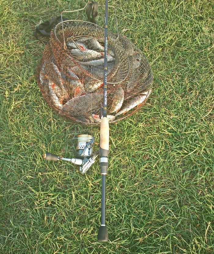 08.10.18г-&quot;Обкатка&quot;нового Лайта:Crazy Fish(Arion ASR762S-L (3-12g 229cm 7&#039;6&quot;...