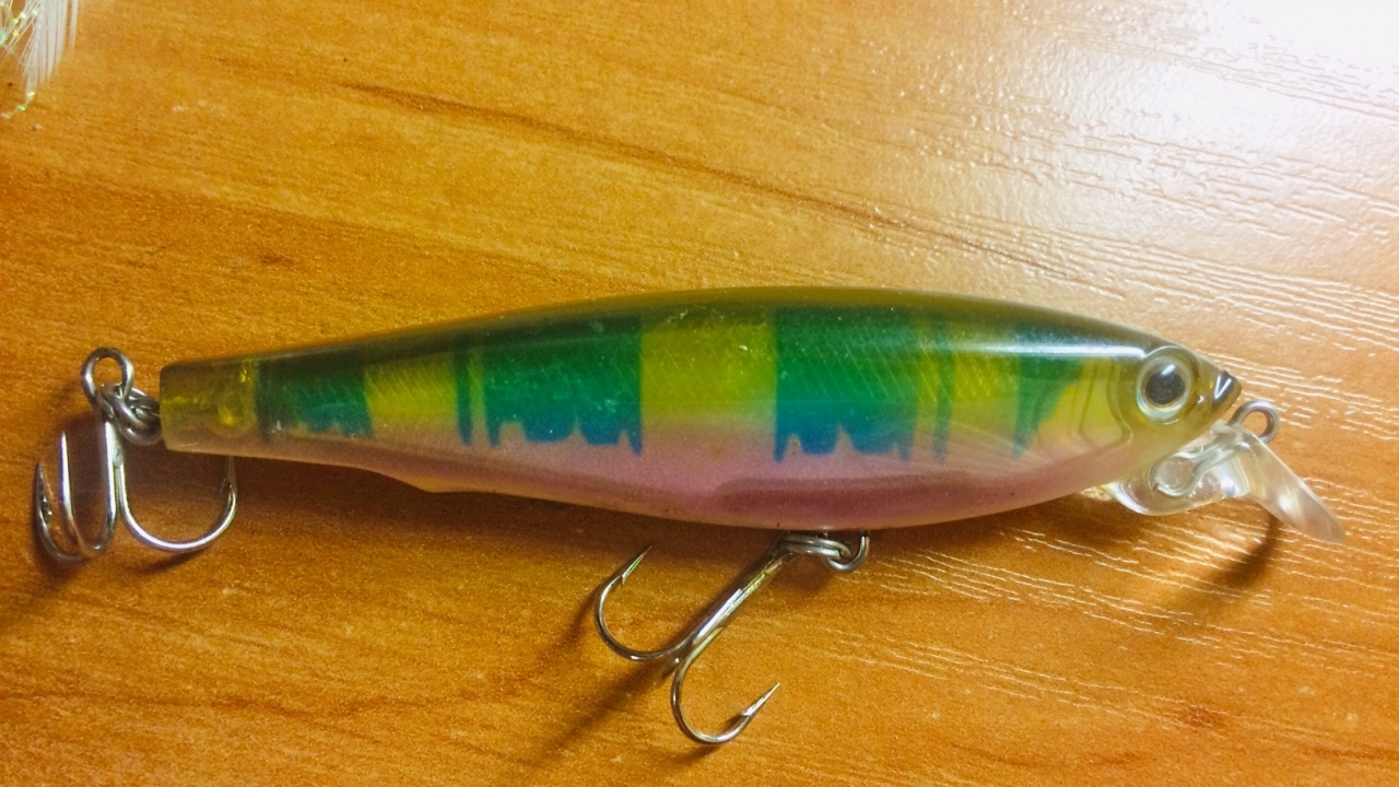 YO-ZURI 3D MINNOW F621